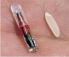 Biomark 魚類射頻標記(PIT)